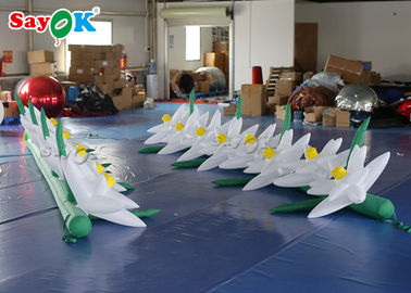 विज्ञापन के लिए एयर ब्लोअर के साथ टिकाऊ Inflatable फूल श्रृंखला