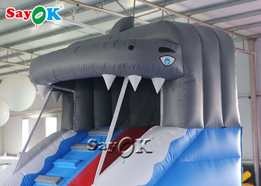 स्विमिंग पूल के साथ ब्लो शार्क ब्लो वॉटर स्लाइड