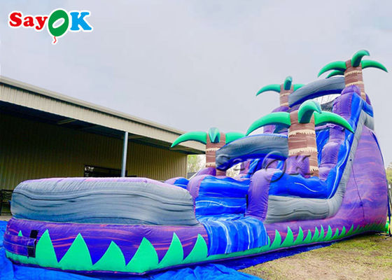 आउटडोर inflatable पानी स्लाइड वाणिज्यिक inflatable स्लाइड वाटर पार्क बैंगनी क्रश डबल लेन inflatable पानी स्लाइड