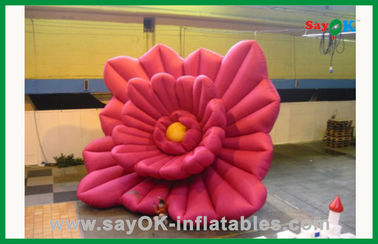 बड़े लाल कस्टम Inflatable उत्पाद